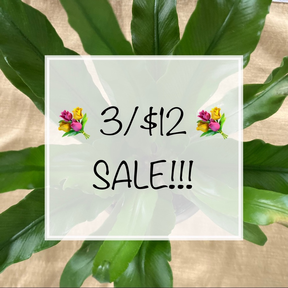 💐3/$12 SALE!!!